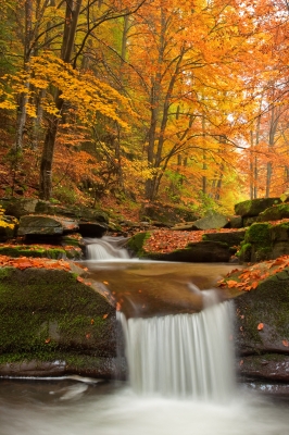 The Beauty of Fall: Christian Poem