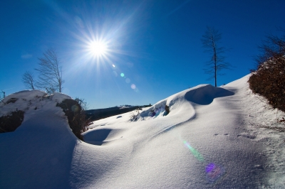 Wisdom of Winter - Inspirational Christian Poem by Caroline Gavin of Purposeful Pathway Christian Life Coaching