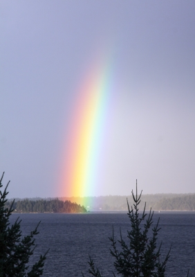 Free Image Rainbow by Rosemary Ratcliff